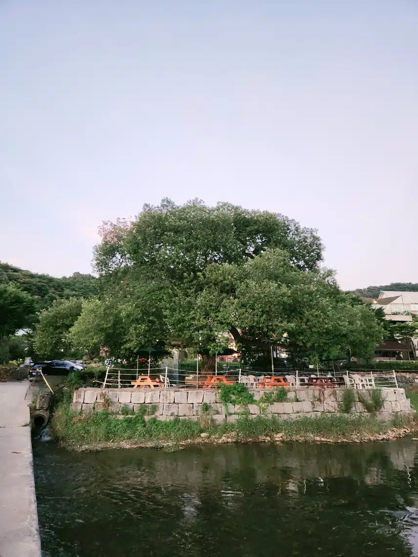 화덕피자와  달달이 커피 한잔💗