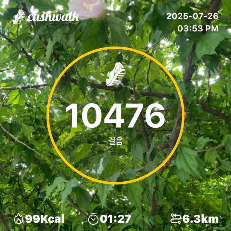 인증