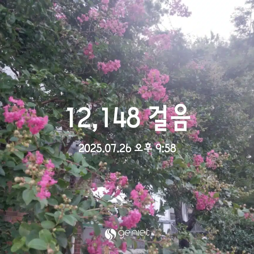 만보걷기