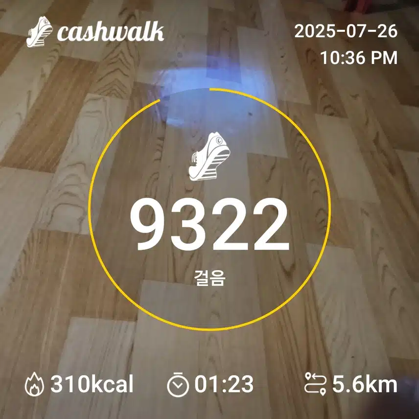 6천보인증