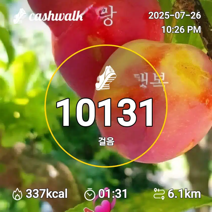 6천보걷기