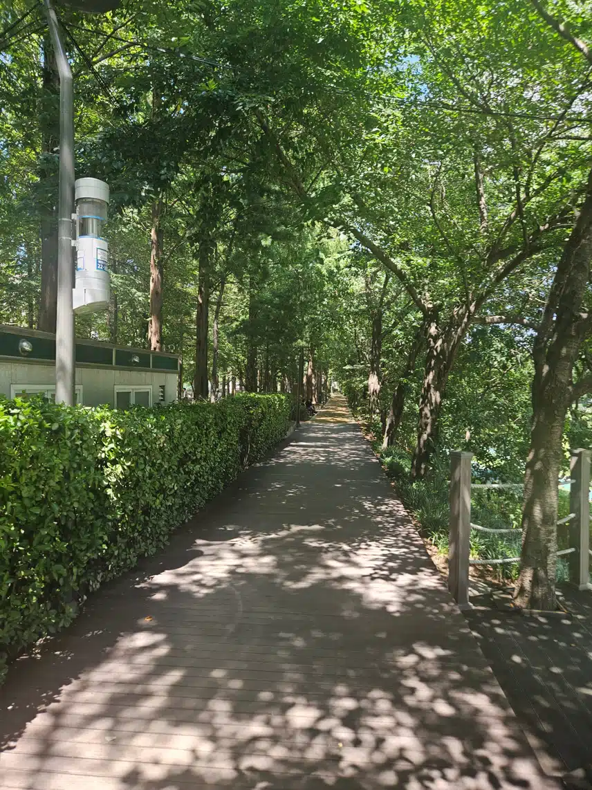 인증