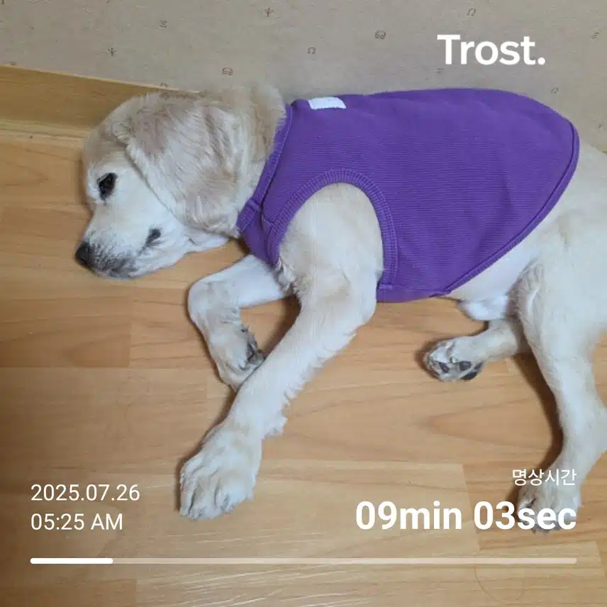토요일 아침 (일요일 작성)