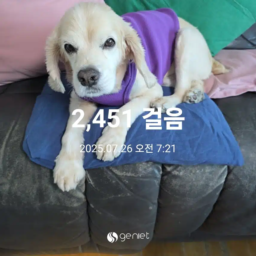 토요일 아침 (일요일 작성)