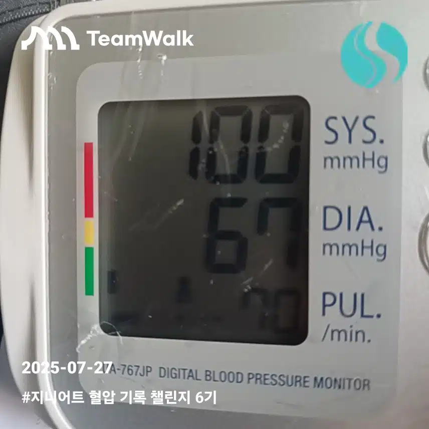 혈압7일차인증