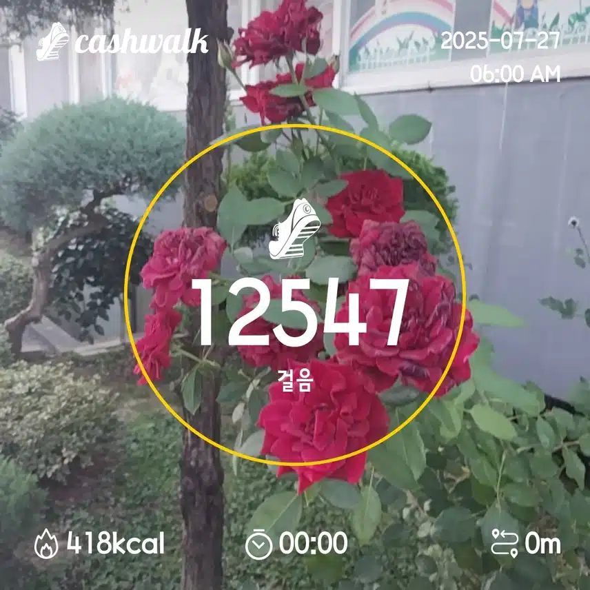 12일차