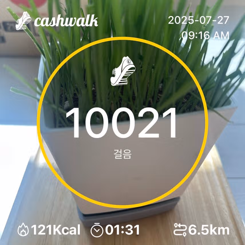인증