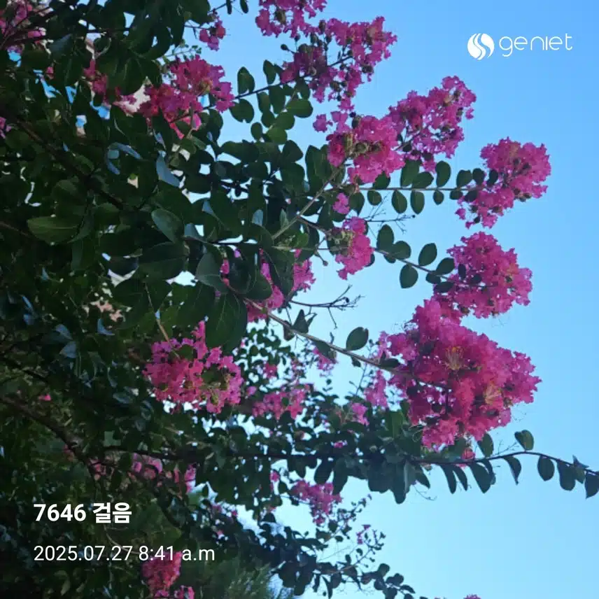 아침 산책으로 🏃