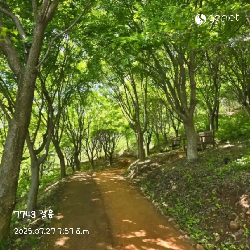 아침 산책길🏃‍♀️