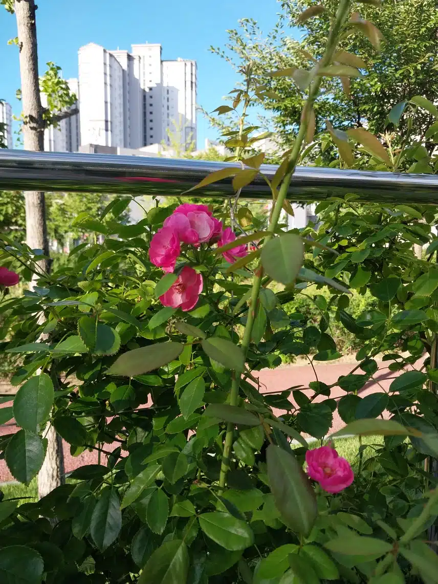 아이가 약속을 어겨요