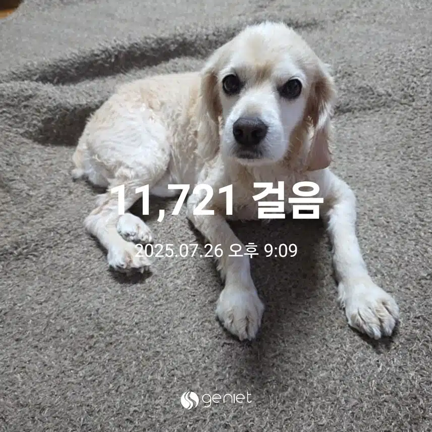 토요일 마무리 
