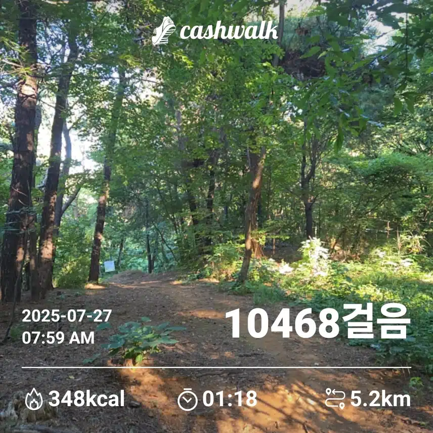 인증