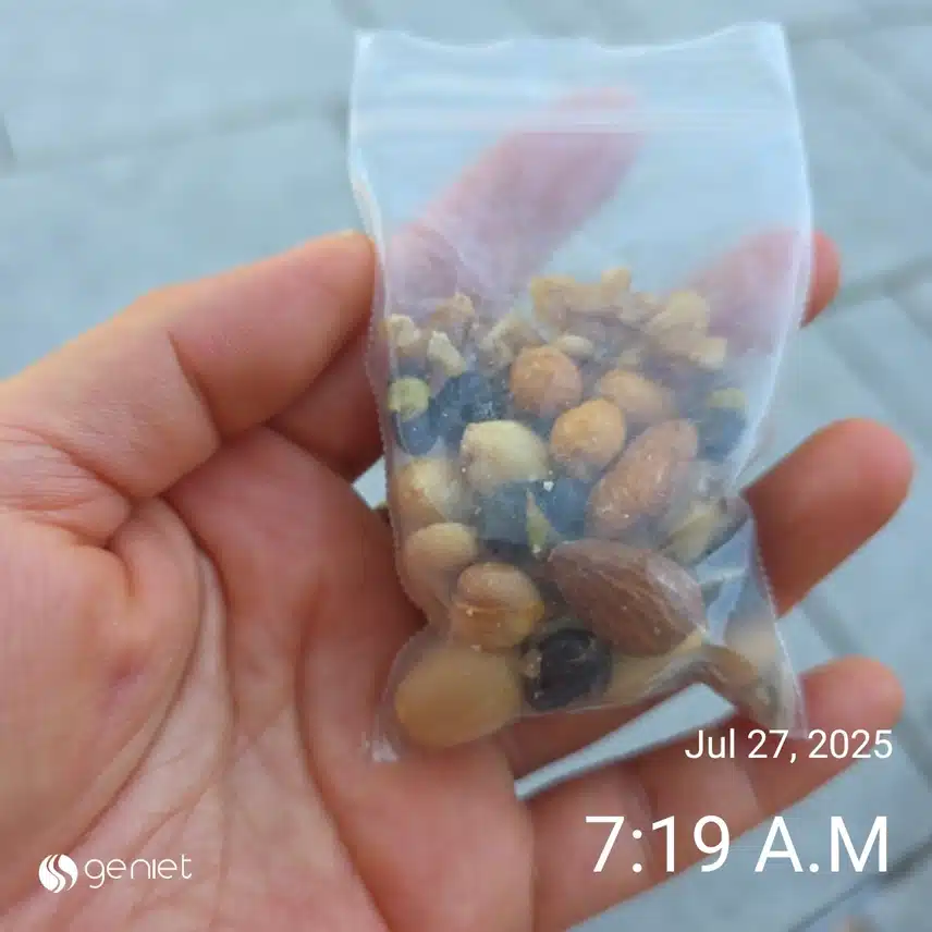 일요일 아침 