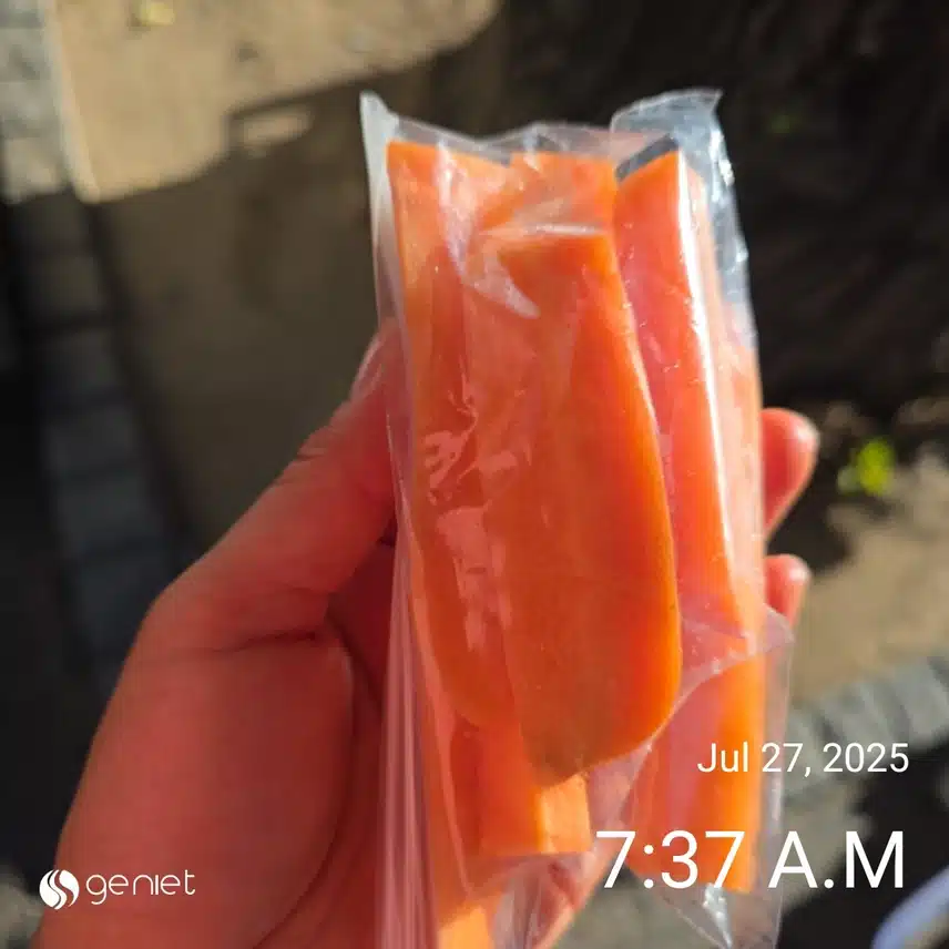 일요일 아침 