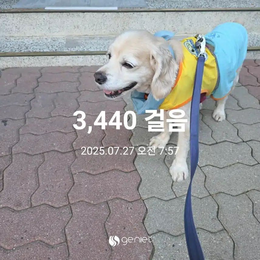 일요일 아침 