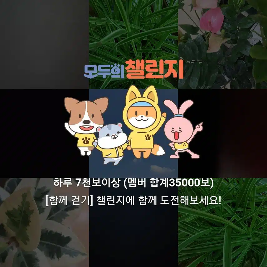 매일 7000보 도전하실분 오세요~~