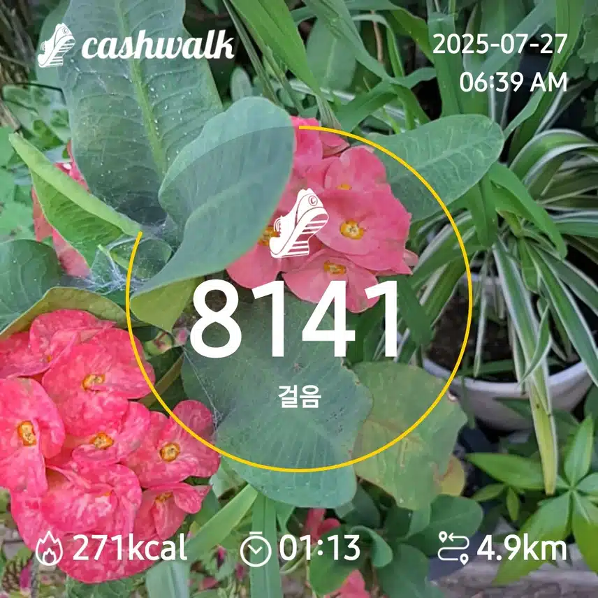 6000. 보 걷기