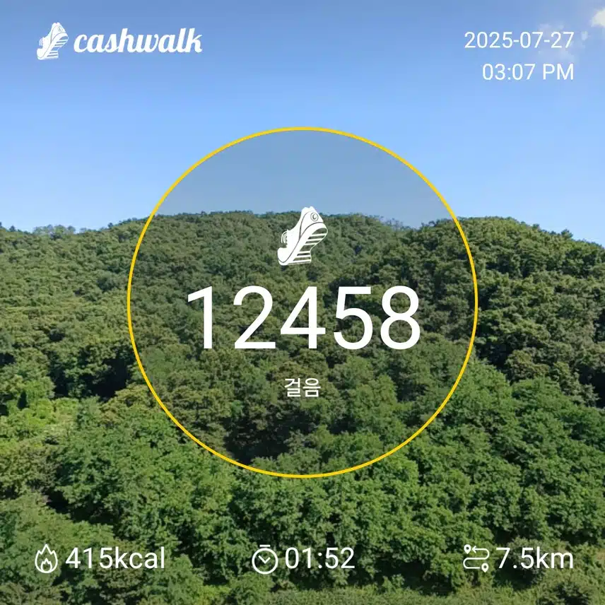 인증 