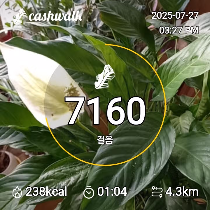 인증 