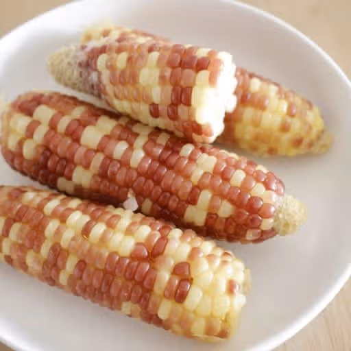 찰 흑 옥수수