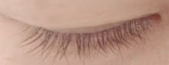 에뛰드 하우스 파워 래쉬 속눈썹 영양제 3달 사용 후기!!