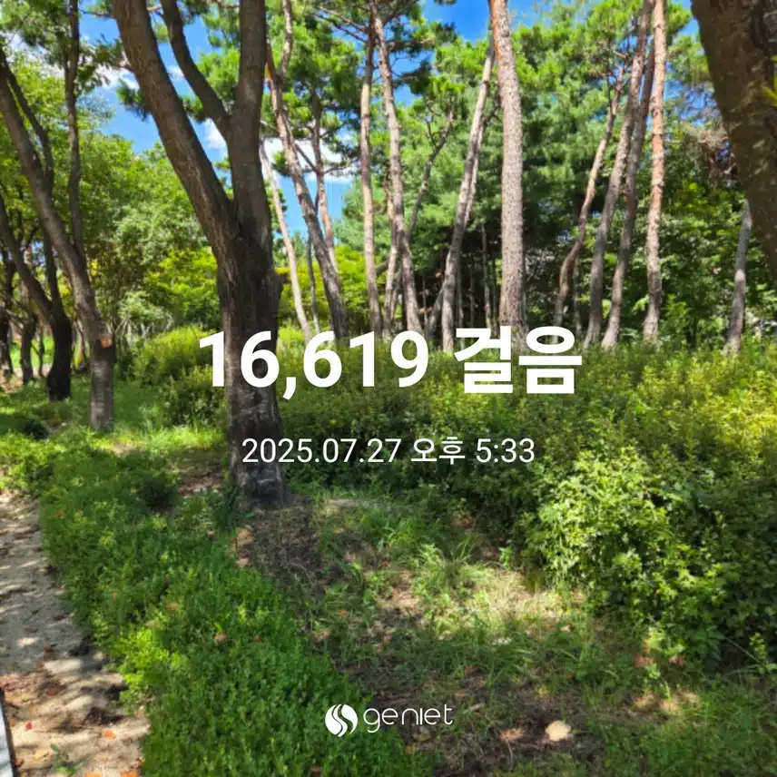 만육천보 걸었어요 