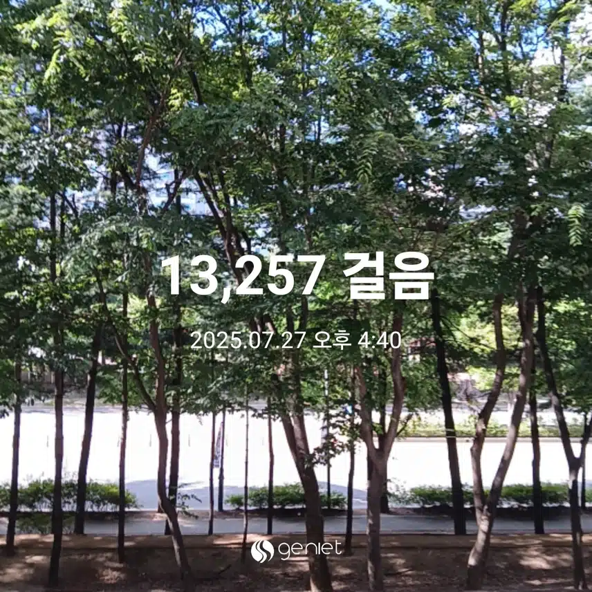 일요일 걷기운동^^