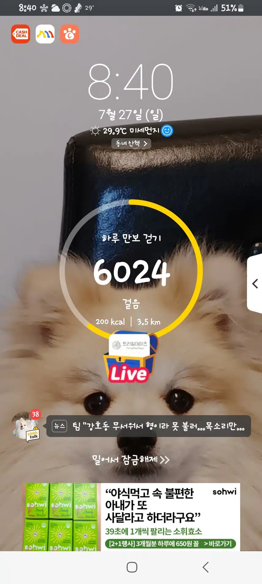 4일차