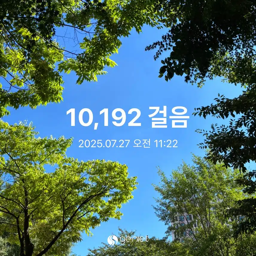 더워도 걷고 왔어요