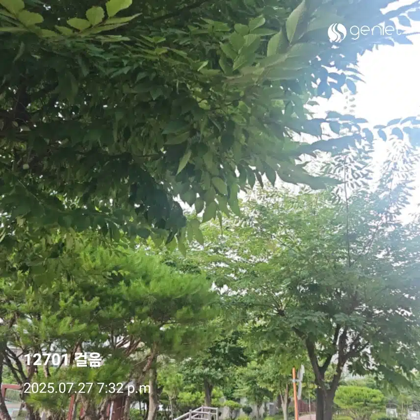 식후 걷기로 ~🏃