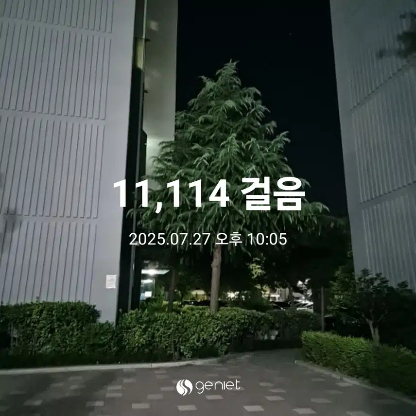 일요일 만보 걷기