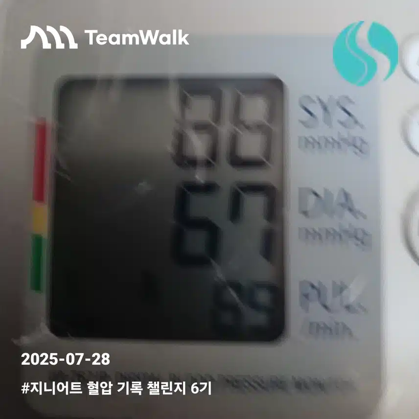 혈압8일차인증