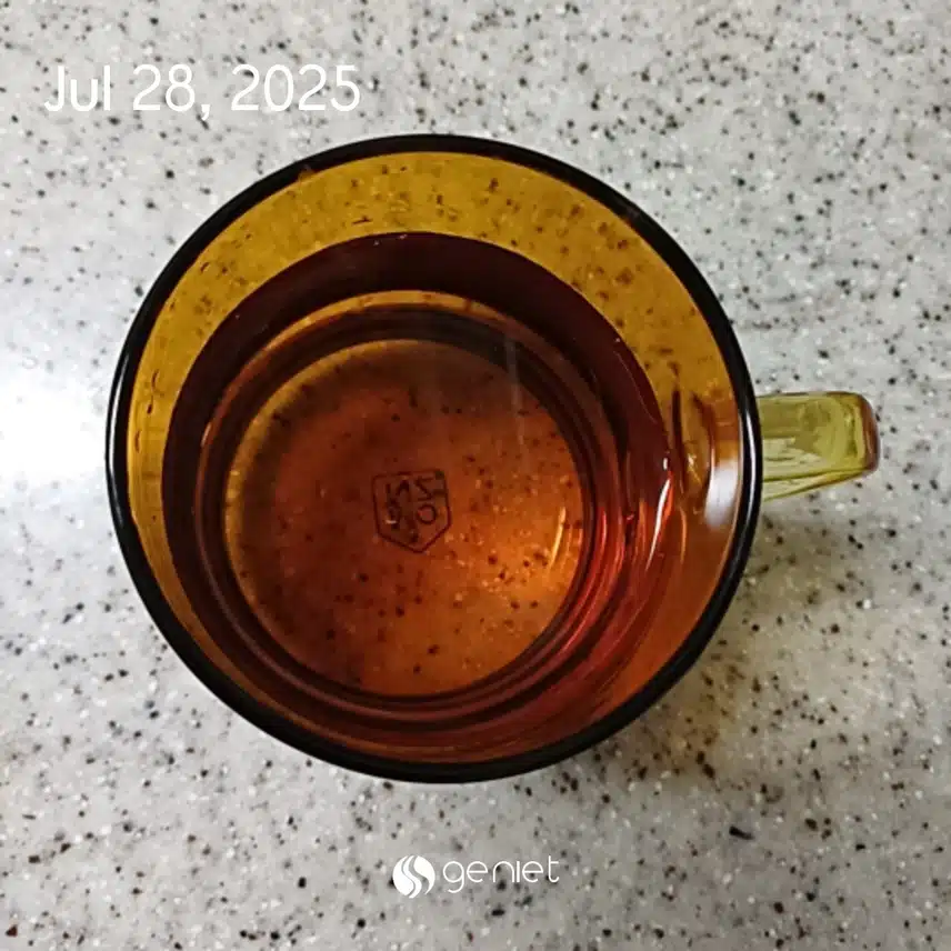 보리차한잔 🥛