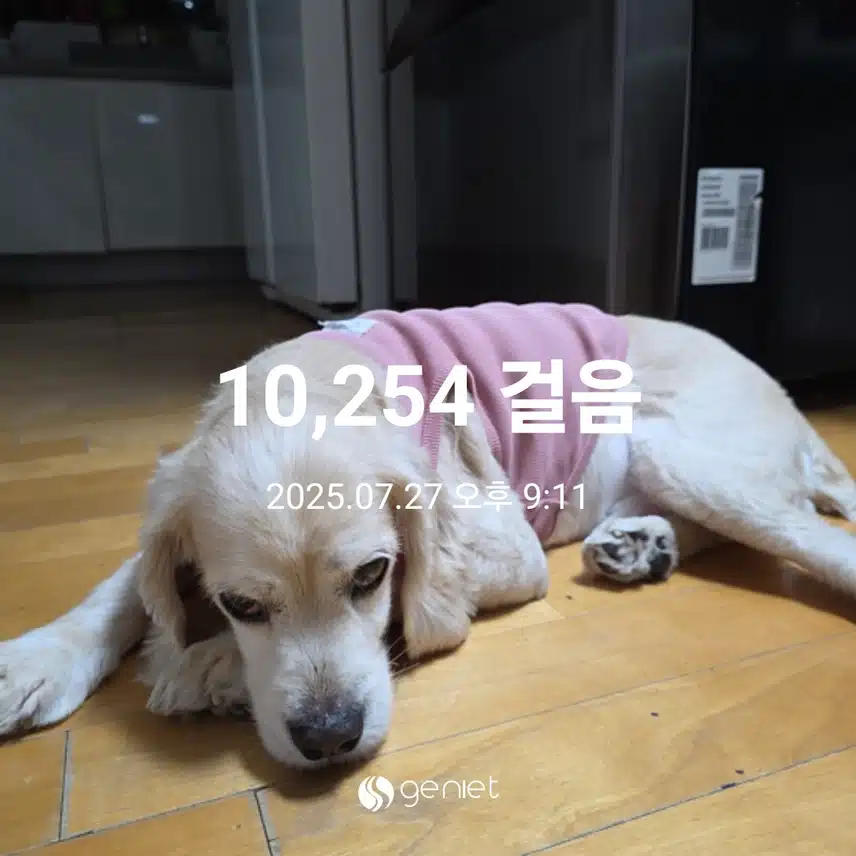 일요일 마무리(월요일 작성)