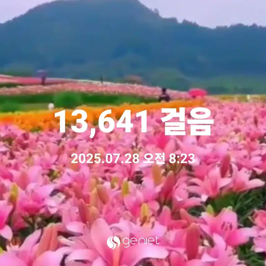   인증을 놓치고 이제서야