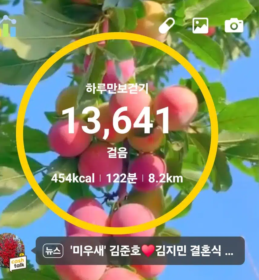   새벽운동. 만보걷기. 인증늦어네요