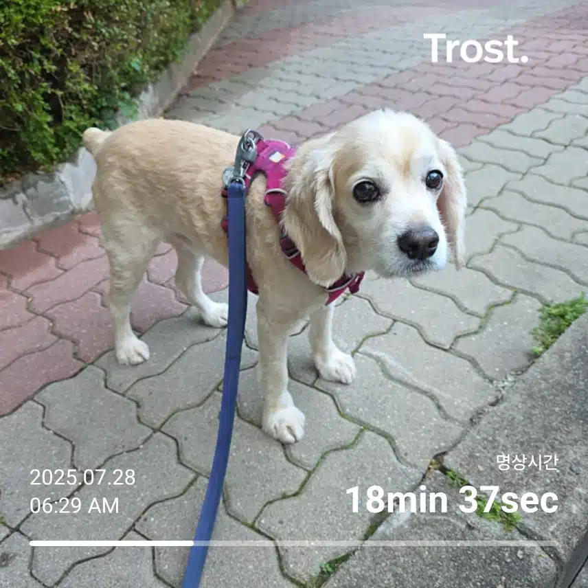 월요일 아침 