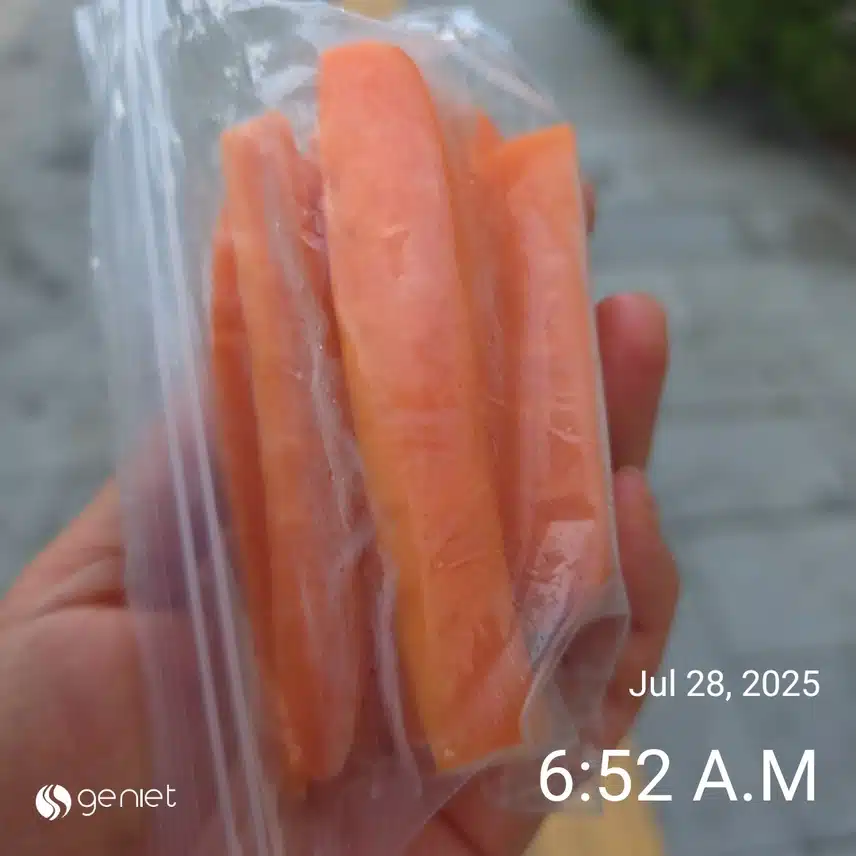 월요일 아침 