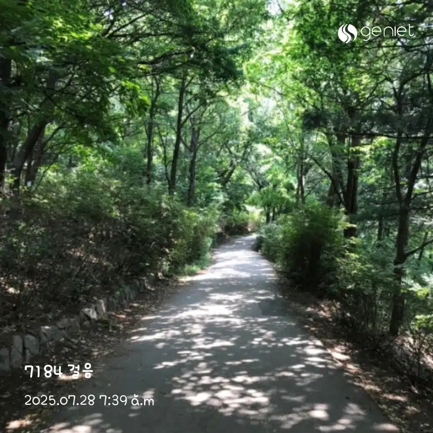 역대급 더위 산책으로🏃‍♀️
