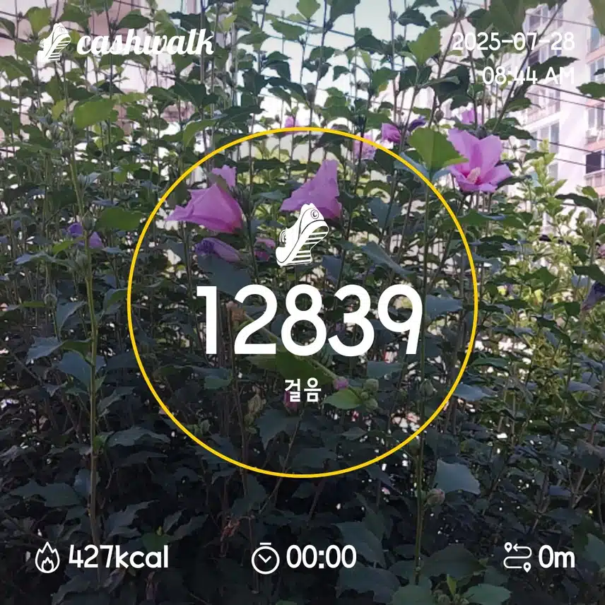 13일차