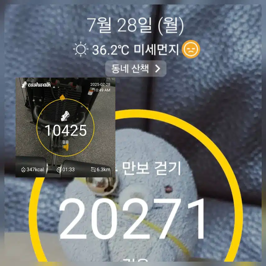 💪근육뽀샤쥬고.동네산 만보걷기 완료 ~🥰