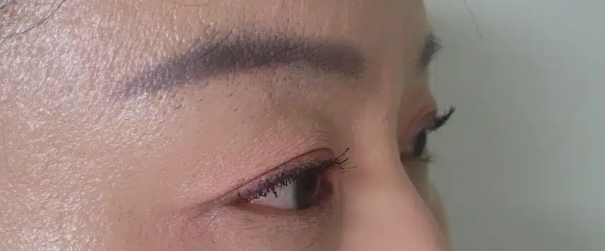 에뛰드 닥터 마스카라 픽서 사용 후기 