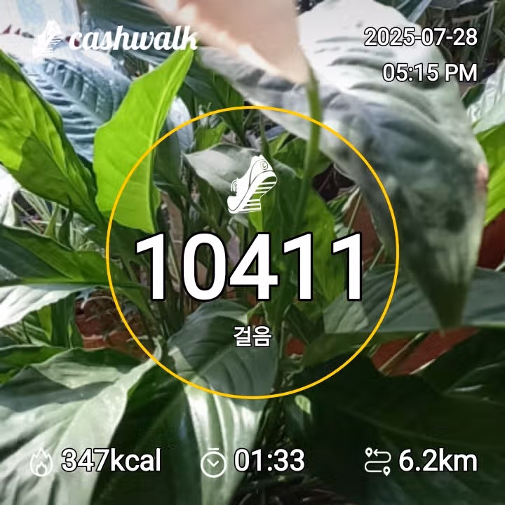 인증