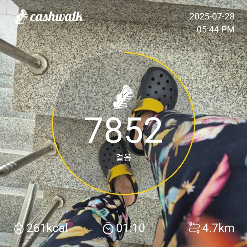 인증