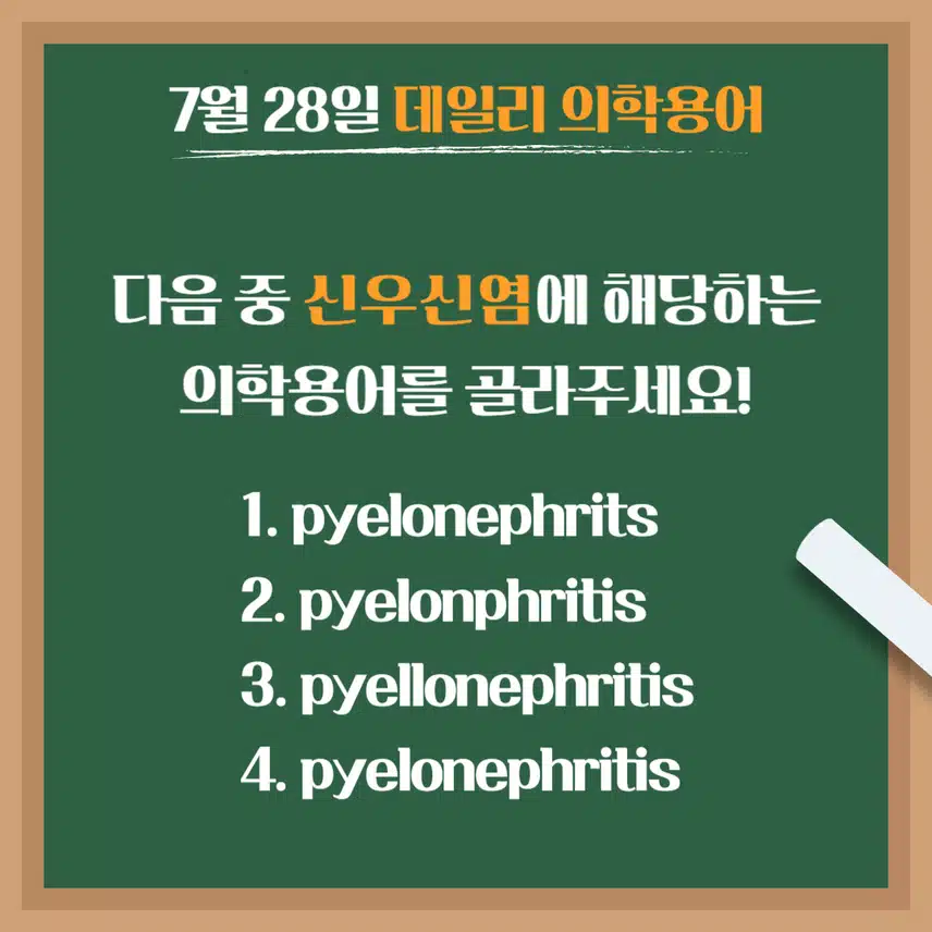 [7/28] 간호사, 간호학과 필수 ⭐데일리 의학용어⭐ 퀴즈도 풀고? 공부도 하고! 같이 암기해요🤩