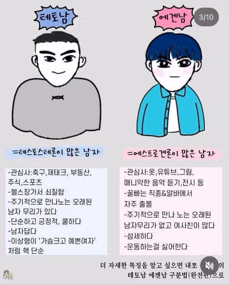 테토남 vs 에겐남 구분법｜특징, 테스트까지