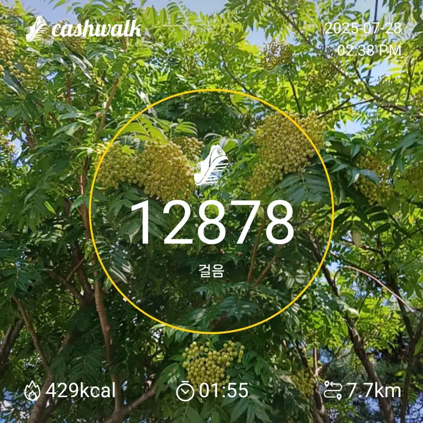 인증 