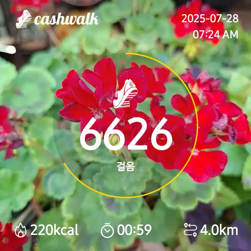 6000보 걷기