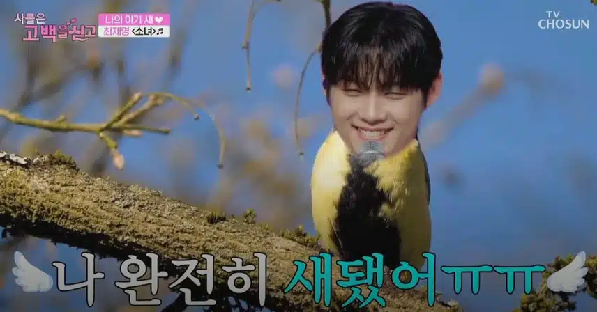 완전 새가 되어버린(?) 재명님의 무대ㅠㅠ 