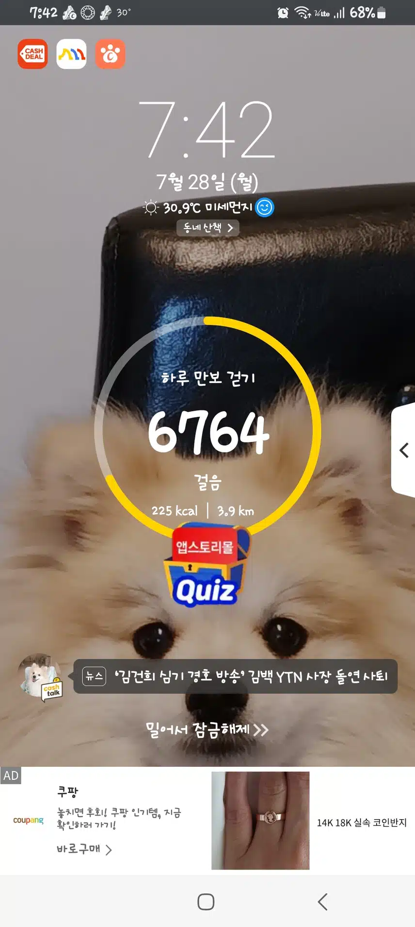 5일차